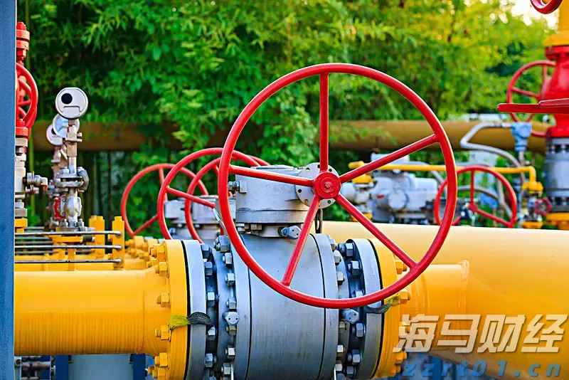 “五一”跨境游热潮涌动,合肥边检全力保障出游高峰