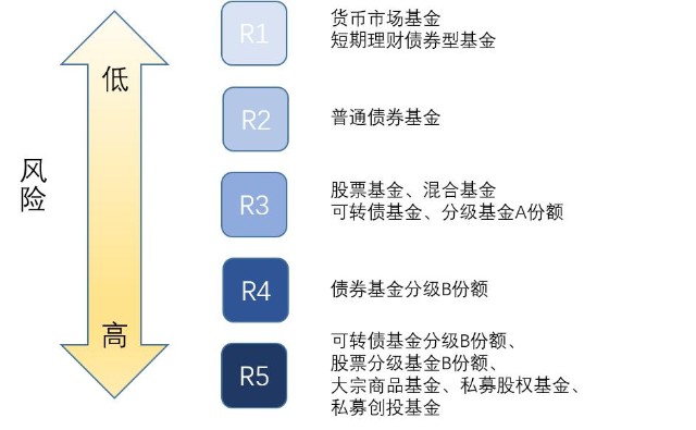 韩国芯片初创公司FuriosaAI获1.25亿美元融资 旨在加速AI芯片生产