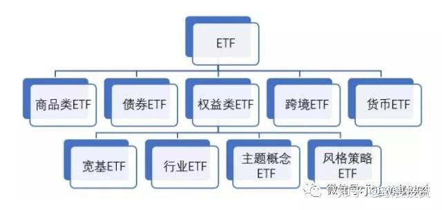 广东全民健身热潮涌动，8月体育赛事活动好戏连台